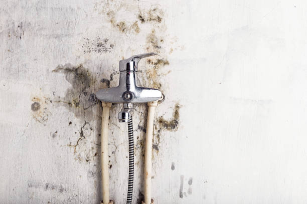 Best Water Damage Restoration  in Heyville, AL