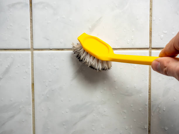  Heyville, AL Mold Removal Pros