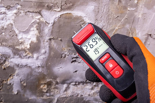 Best Mold Testing  in Heyville, AL