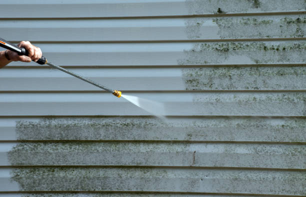 Best Mold Removal and Inspection  in Heyville, AL