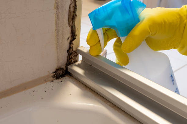 Best Crawl Space Mold Removal  in Heyville, AL