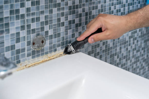 Best Toxic Mold Removal  in Heyville, AL