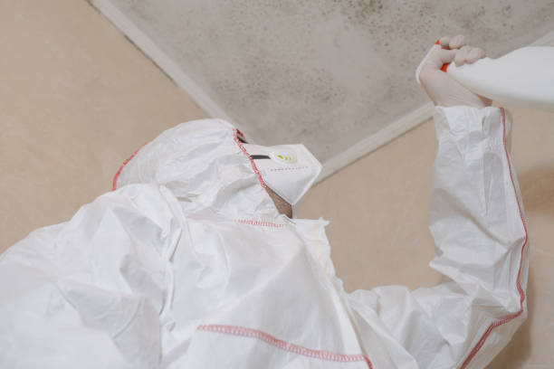 Best Residential Mold Removal  in Heyville, AL